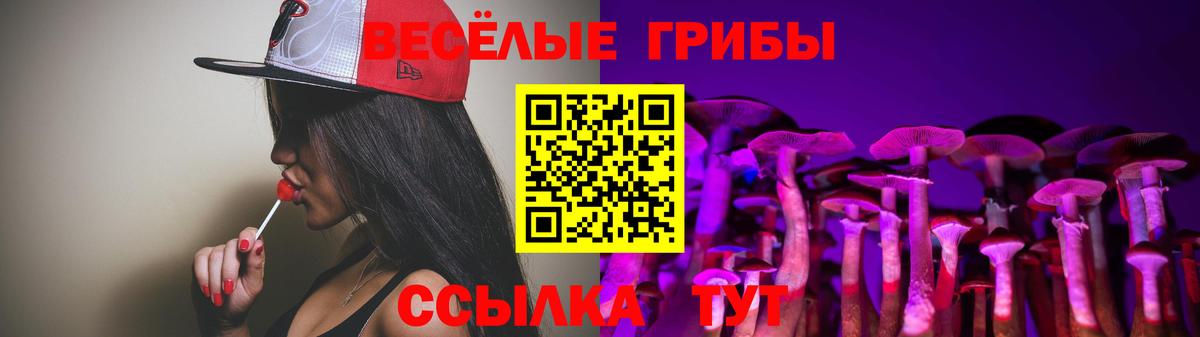 Галлюциногенные грибы Psilocybe  Галлюциногенные грибы Magic Shrooms  Вход с VPN  Чита 